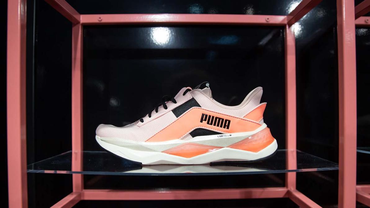 EQS-PVR - PUMA SE: Release according to Article 40, Section 1 of the WpHG [the German Securities Trading Act] with the objective of Europe-wide distribution